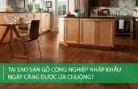 Tại sao sàn gỗ công nghiệp nhập khẩu ngày càng được ưa chuộng tại Việt Nam?