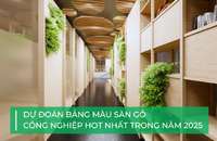 Dự đoán bảng màu sàn gỗ công nghiệp gây bão trong năm 2025