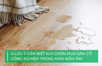 4 lưu ý khi chọn sàn gỗ công nghiệp cho mùa nồm ẩm